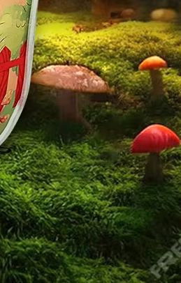 Namioty dla dzieci Plac zabaw  – Kids Outdoor Play Tent recenzja i cena